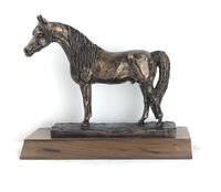 Miniature Arabian Trophy