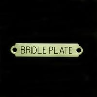 2" Bridle Plate