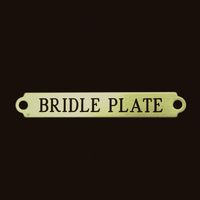 2 1/2" Bridle Plate