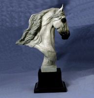 Andalusian Trophy Bust