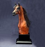Arabian Stallion Trophy