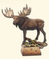 Moose Tracks