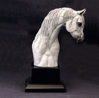 Arabian Mare Trophy