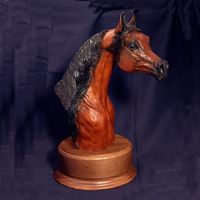 Arabian Look Of Eagles Trophy