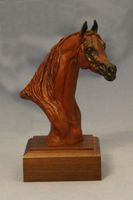 Arabian Mini Dream Trophy