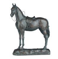 Saddled English Riding Horse