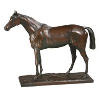 Thoroughbred Horse