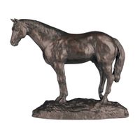 Standing Quarter Horse