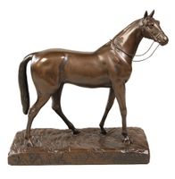Bridled English Hunter Horse