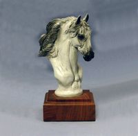 Andalusian Mini Trophy