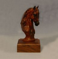 Paso Mini Trophy
