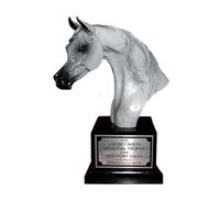 Arabian "Champion Ways" Trophy