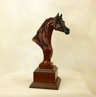 Arabian Spirit Trophy