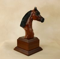 Welsh Pony Trophy