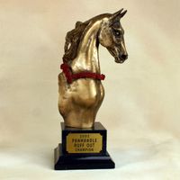Reserve Night Of Roses Trophy