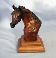 Medium Arabian Foal Trophy