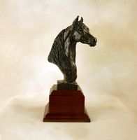 Medium Morgan Trophy
