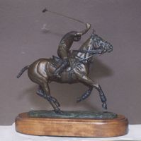 Polo Player