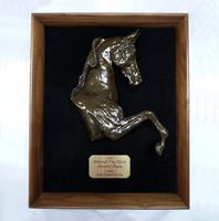 Show Horse Premium Shadow Box