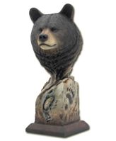 Med. Black Bear