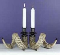 Ram Horn Candle Holder (Pair)