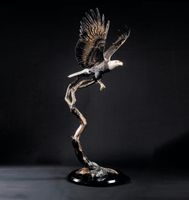 Free Spirit