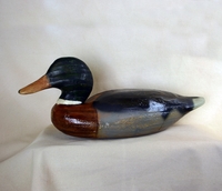 Mallard Duck Decoy