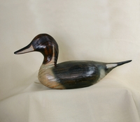 Pintail Duck Decoy