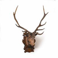 Stag Wall Mount