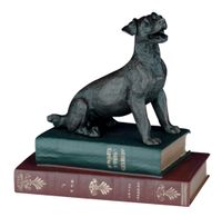 Jack Russell Terrier On Books