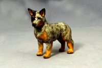 Australian Cattle Dog