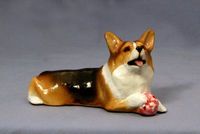 Corgi with Ball