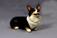 Corgi Sitting