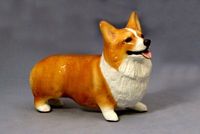 Pembroke Welsh Corgi Standing