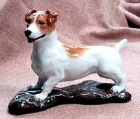 Jack Russell Terrier Smooth