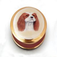 Cavalier King Charles Box