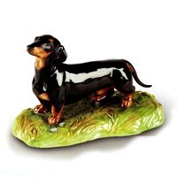 Black & Tan Dachshund