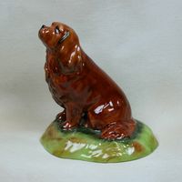 Ruby Cavalier King Charles