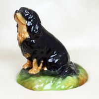 Black & Tan Cavalier King Charles