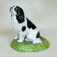 Tri Cavalier King Charles