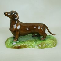 Tan Dachshund