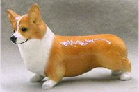 Red Pembroke Welsh Corgi