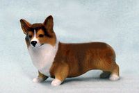Sable Pembroke Welsh Corgi