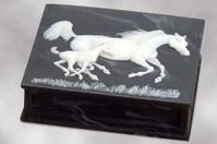 First Gallop