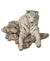 Mohan (Wall)
