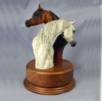 Arabian Stallion and Mare