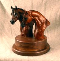 Quarter Horse Stallion and Mare