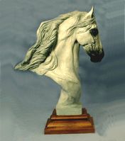 Andalusian
