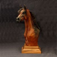 Arabian Stallion