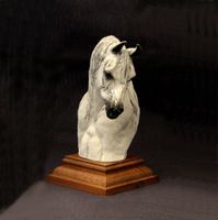 Arabian Mare